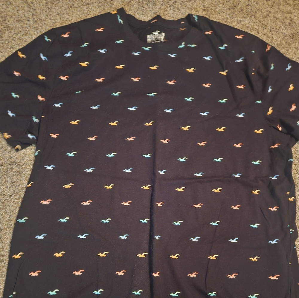 Hollister Black Tee with Vibrant Bird Design